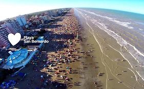 Estrellas de Mar